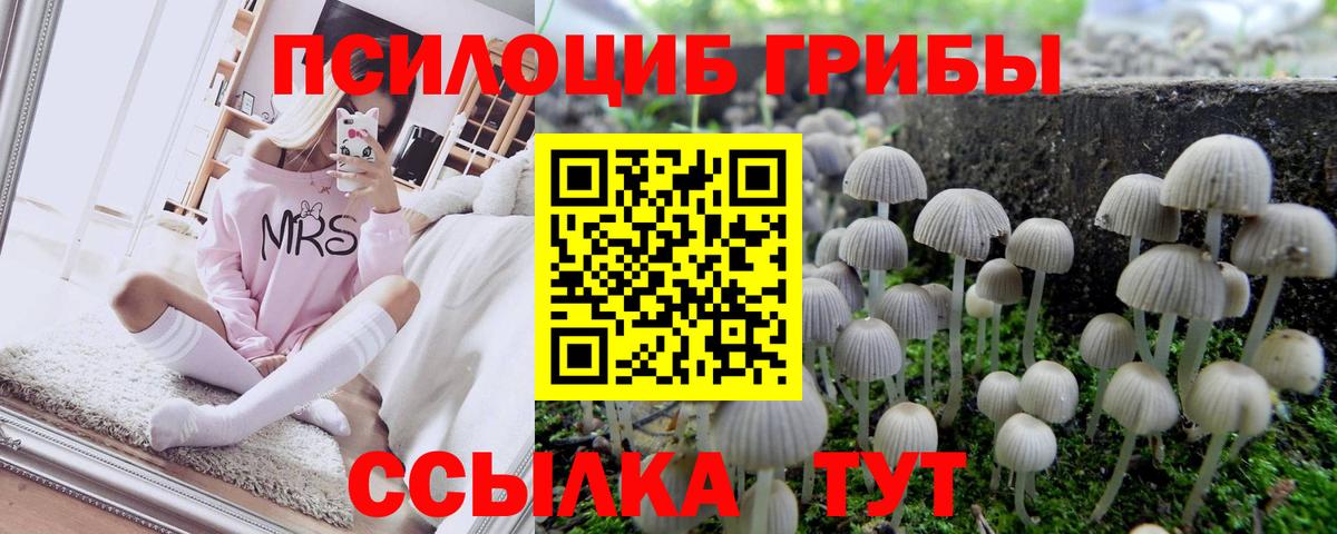 Псилоцибиновые грибы MAGIC MUSHROOMS  Вход с VPN  Галлюциногенные грибы прущие грибы  Ивантеевка 