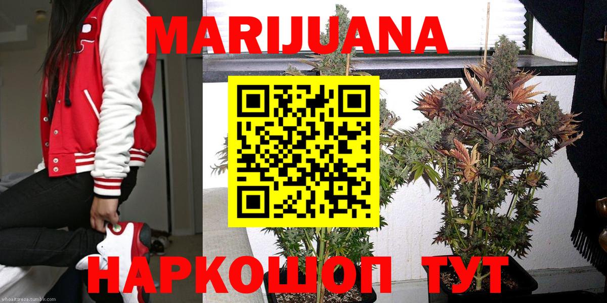 МАРИХУАНА ГИДРОПОН Ивантеевка